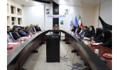 جلسه ستاد مرکزی هماهنگی جوانی جمعیت دانشگاه علوم پزشکی زابل برگزار شد